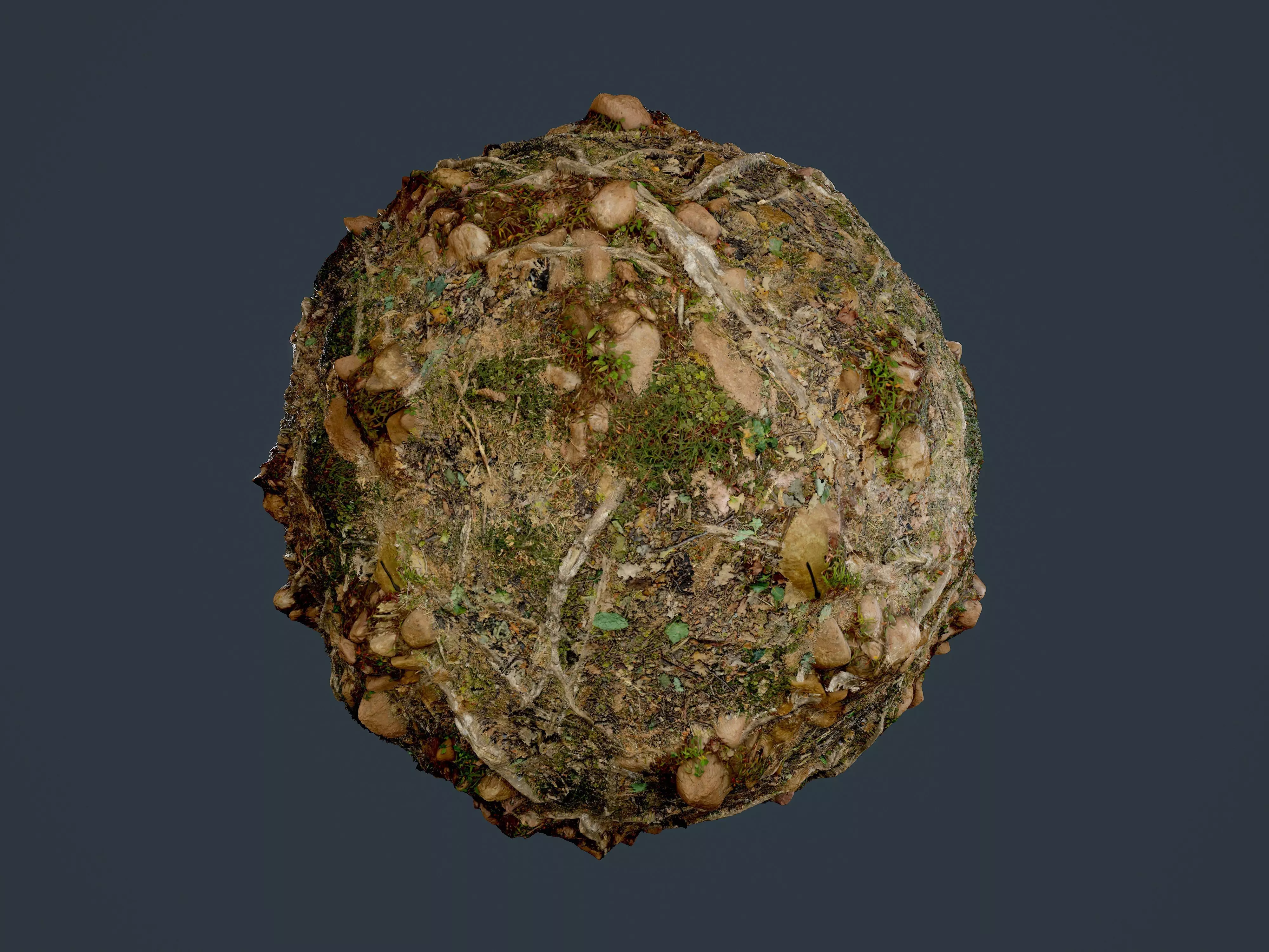 Forest Ground Seamless PBR Texture 07 Texture_0