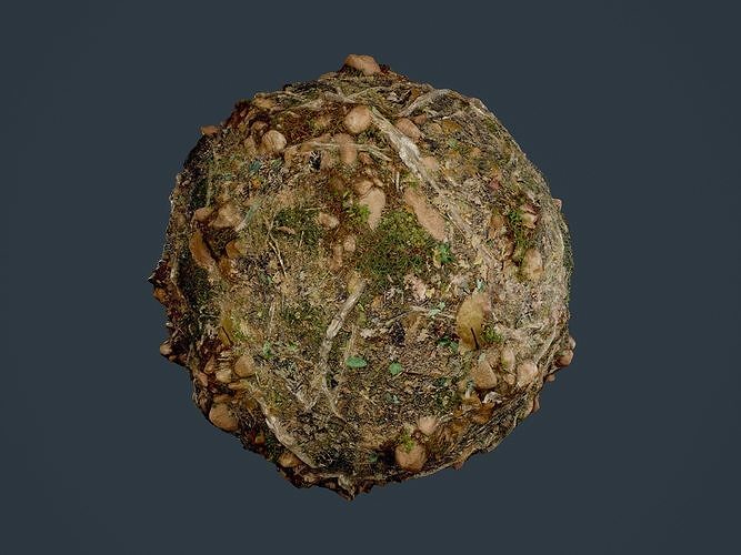 Forest Ground Seamless PBR Texture 07 Texture