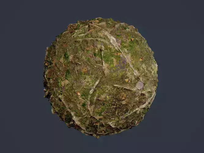 Forest Ground Seamless PBR Texture 08