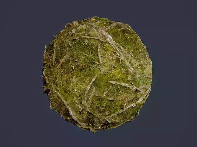 Forest Ground Seamless PBR Texture 09