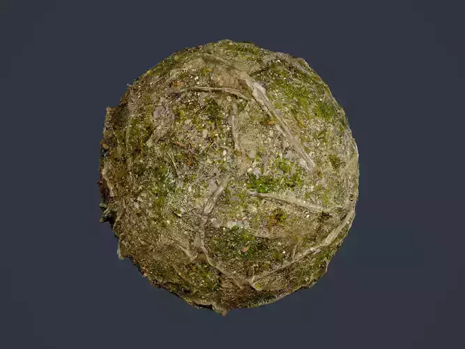 Forest Ground Seamless PBR Texture 10