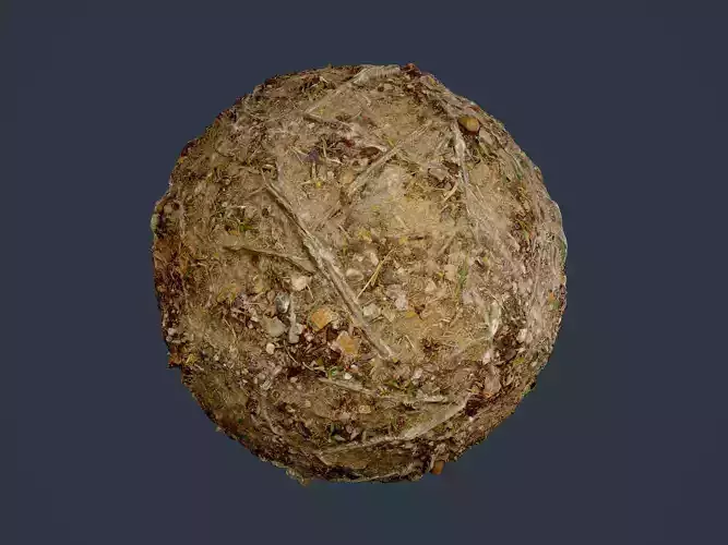 Forest Ground Seamless PBR Texture 11