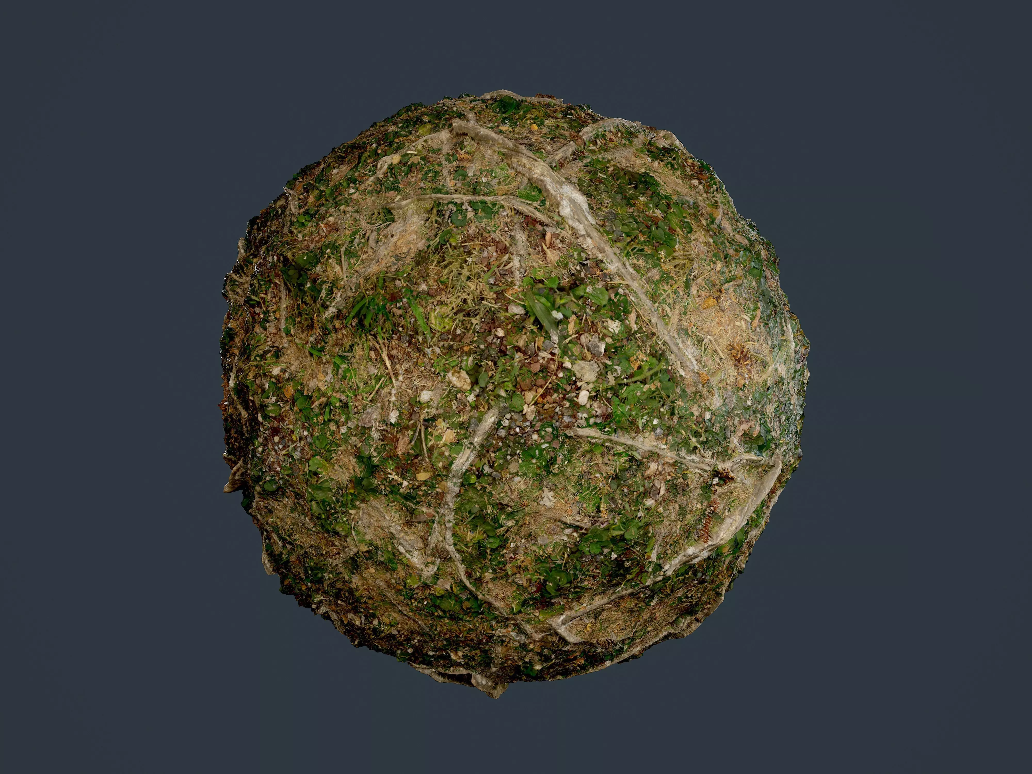 Forest Ground Seamless PBR Texture 12 Texture_0