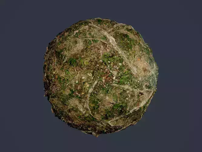 Forest Ground Seamless PBR Texture 12 Texture
