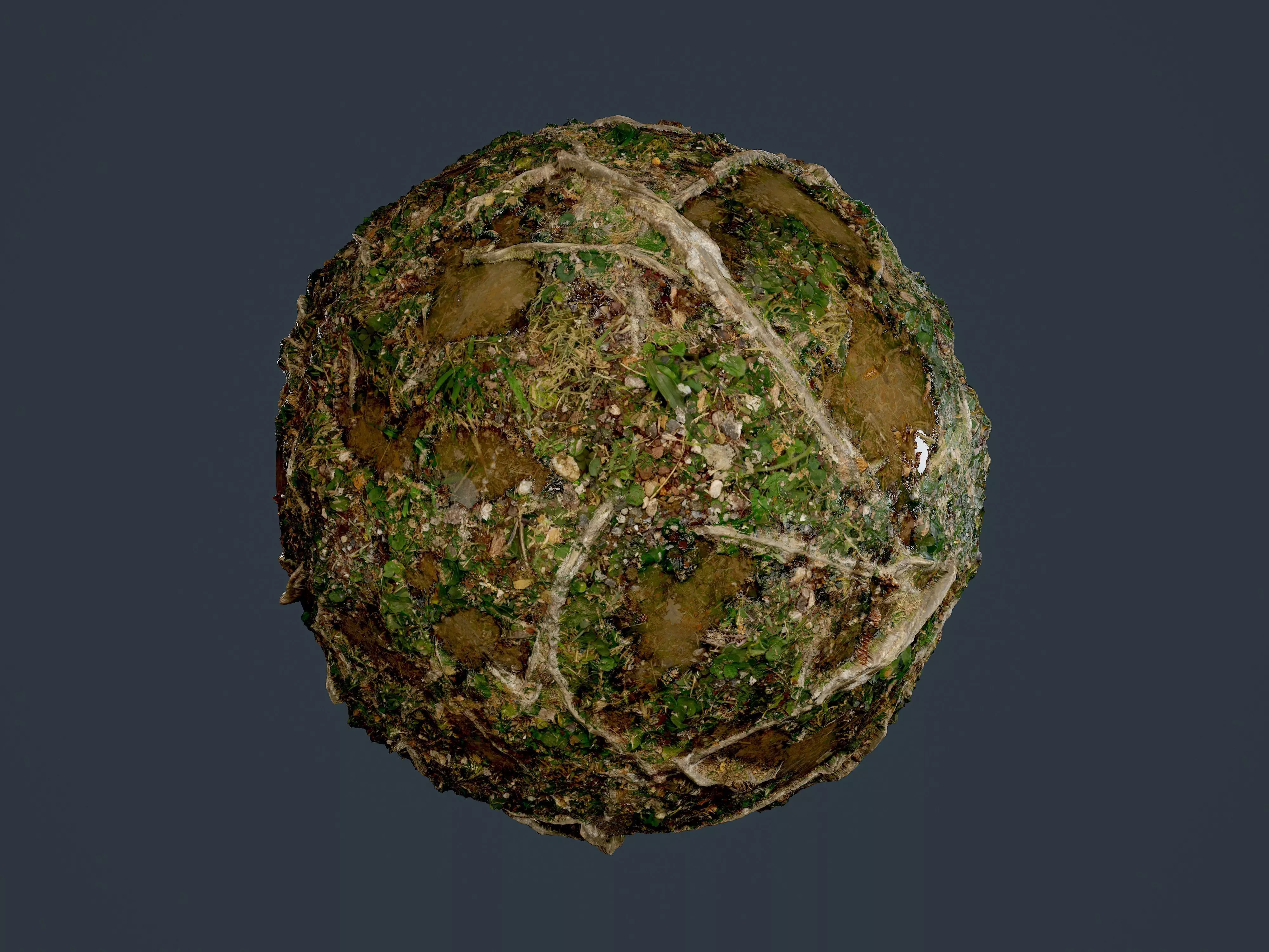 Forest Ground Seamless PBR Texture 13 Texture_0
