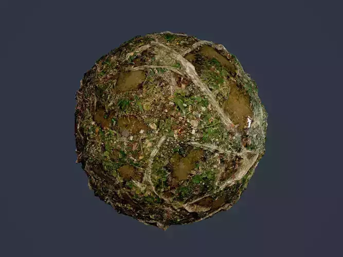 Forest Ground Seamless PBR Texture 13
