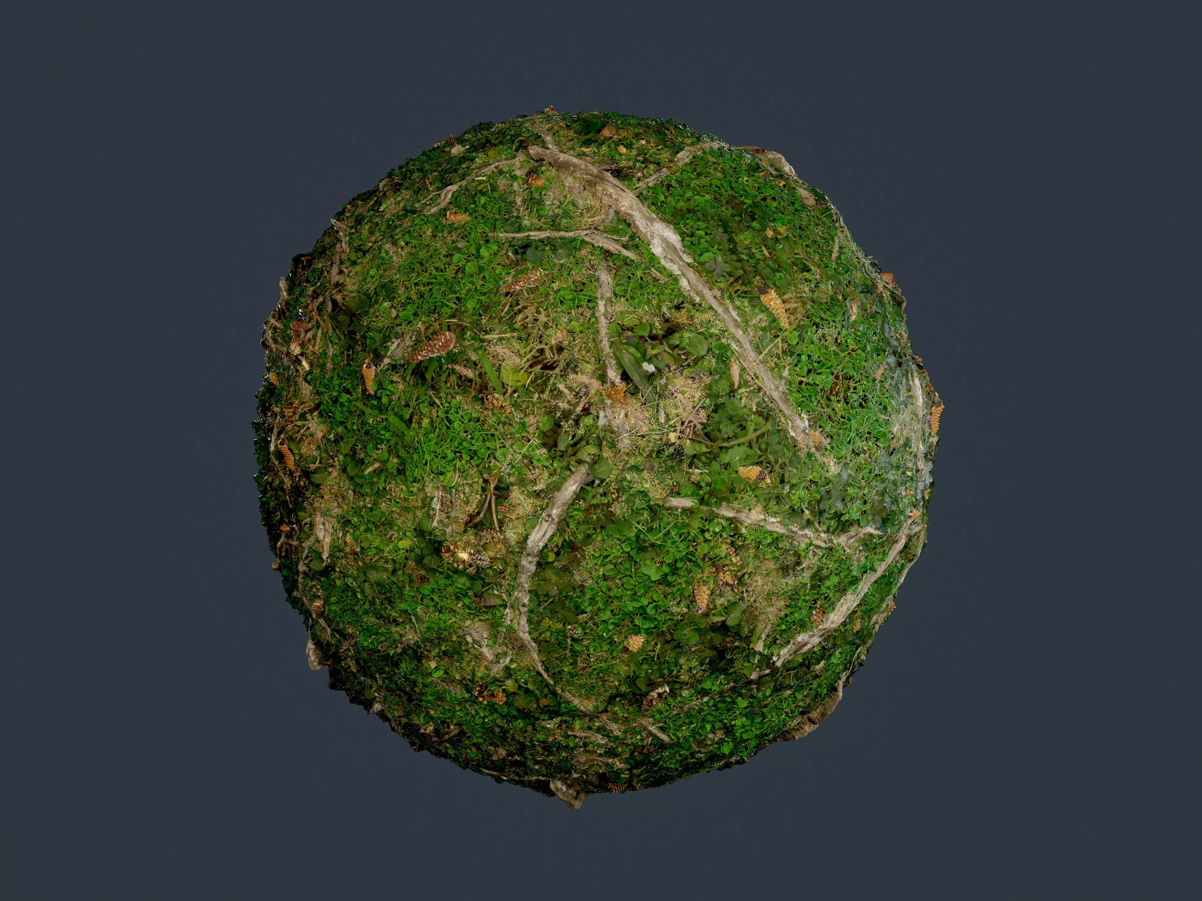 Forest Ground Seamless PBR Texture 14 Texture_0