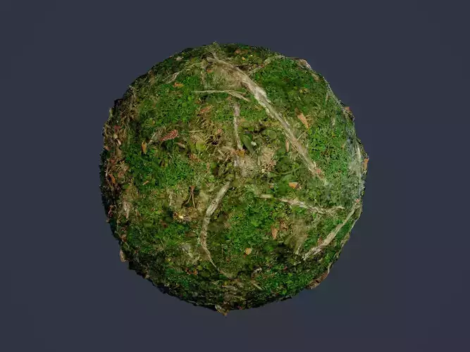 Forest Ground Seamless PBR Texture 14