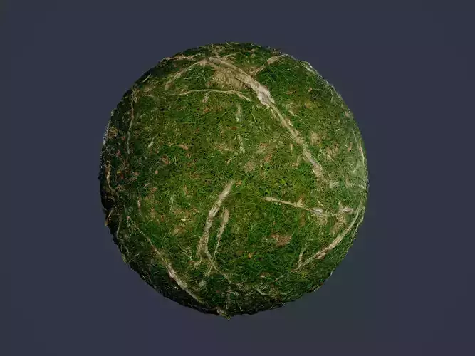 Forest Ground Seamless PBR Texture 15