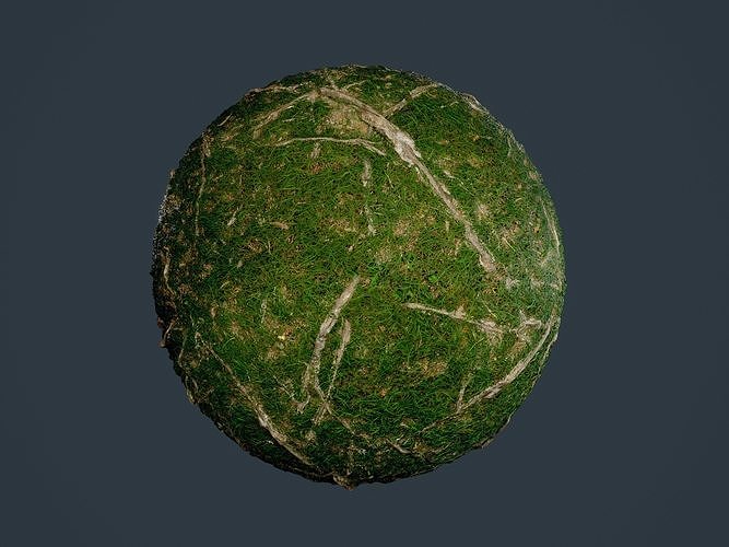 Forest Ground Seamless PBR Texture 15 Texture | CGTrader