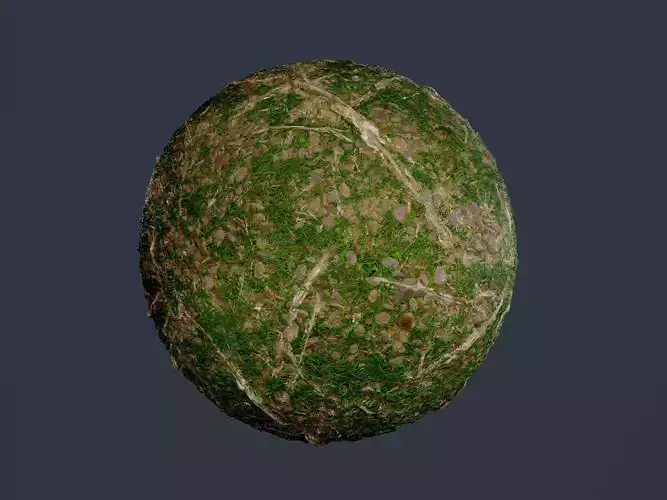 Forest Ground Seamless PBR Texture 16