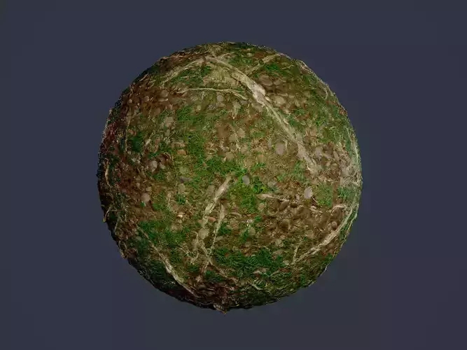 Forest Ground Seamless PBR Texture 17