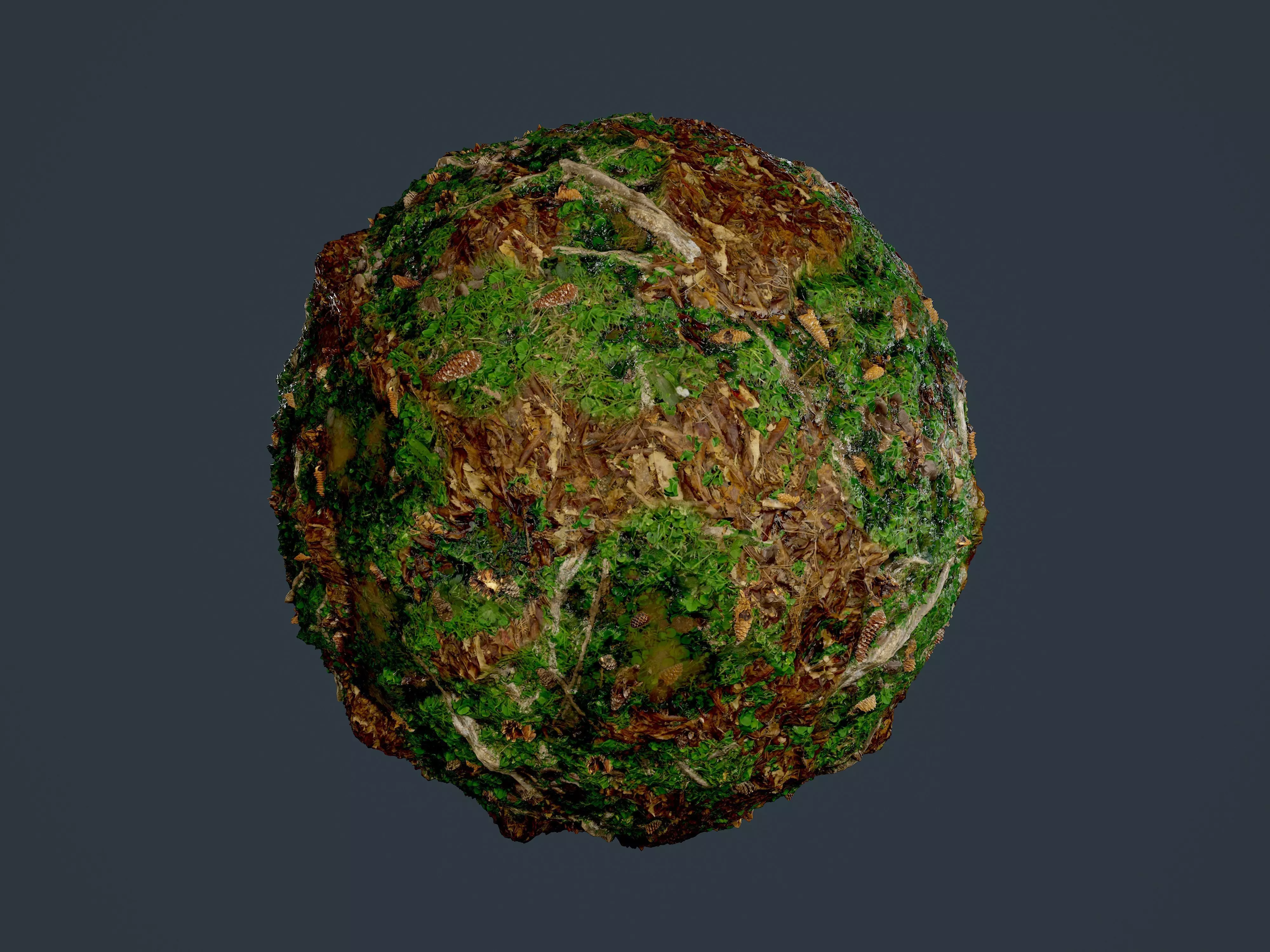 Forest Ground Seamless PBR Texture 18 Texture