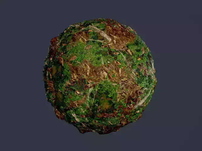 Forest Ground Seamless PBR Texture 18