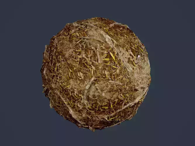 Forest Ground Seamless PBR Texture 20