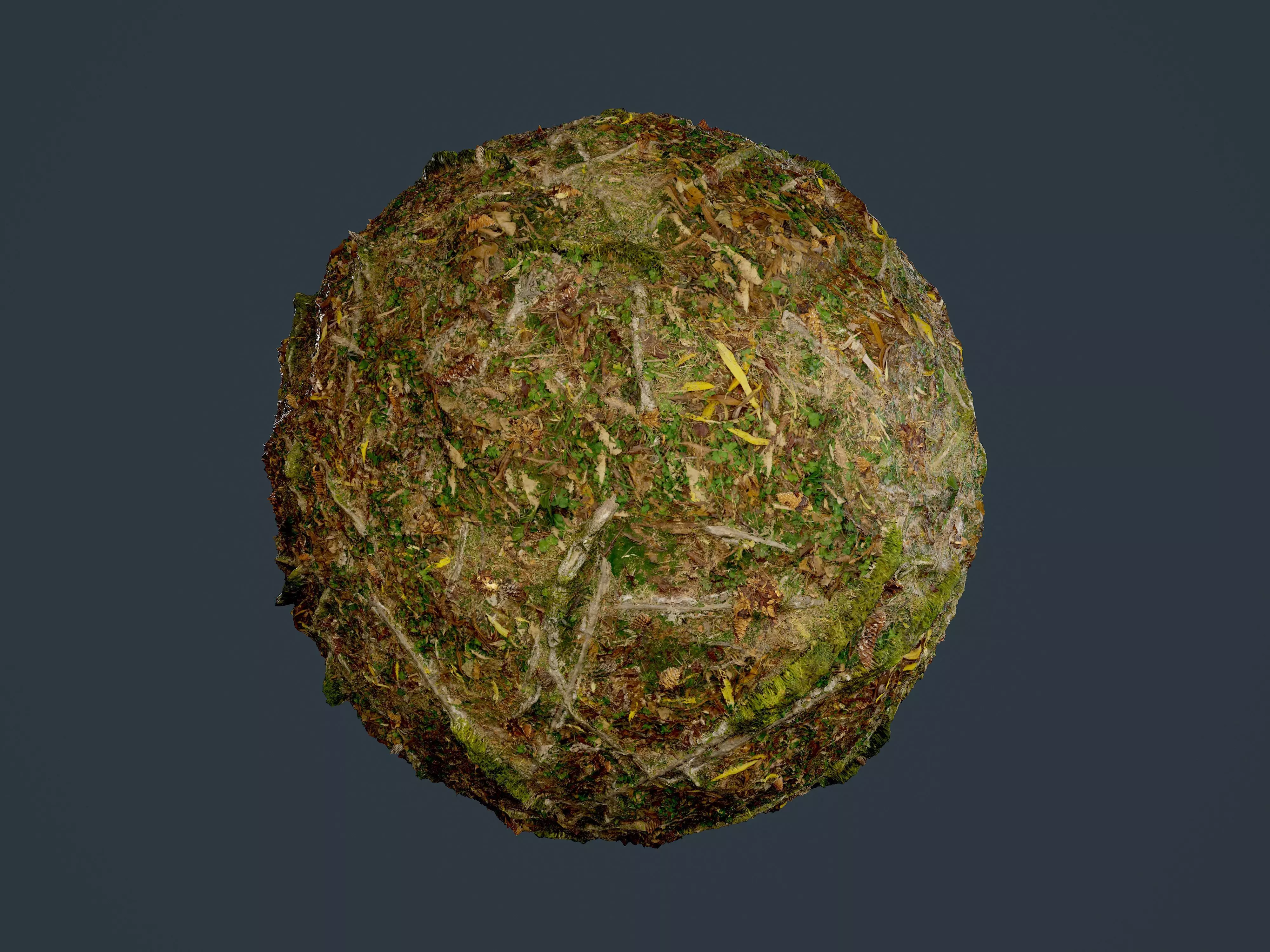 Forest Ground Seamless PBR Texture 21 Texture_0