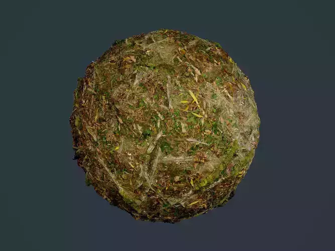 Forest Ground Seamless PBR Texture 21