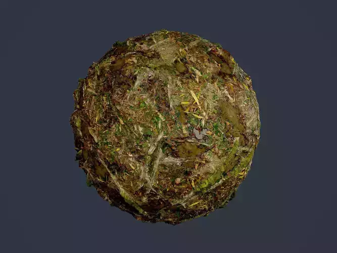 Forest Ground Seamless PBR Texture 22 Texture