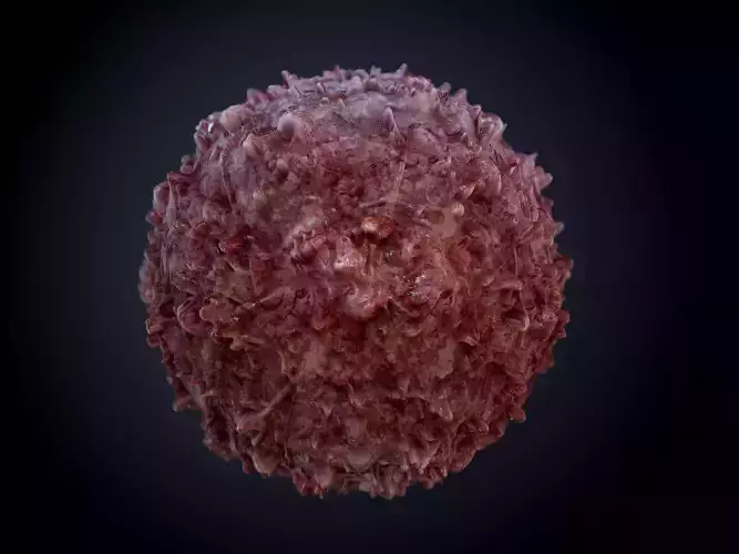 Gore Blood Guts Skin Cuts Seamless PBR Texture 22