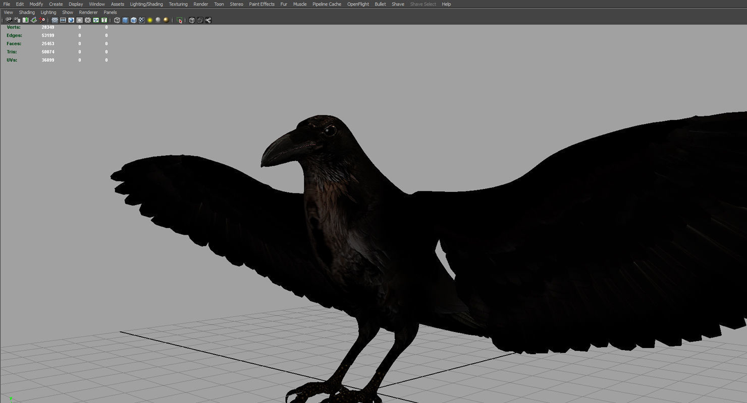 raven 3d model with wings spread 3D model_1