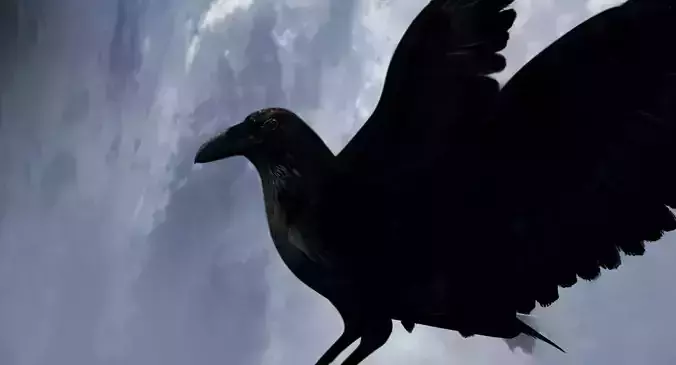 raven 3d model with wings spread 3D model