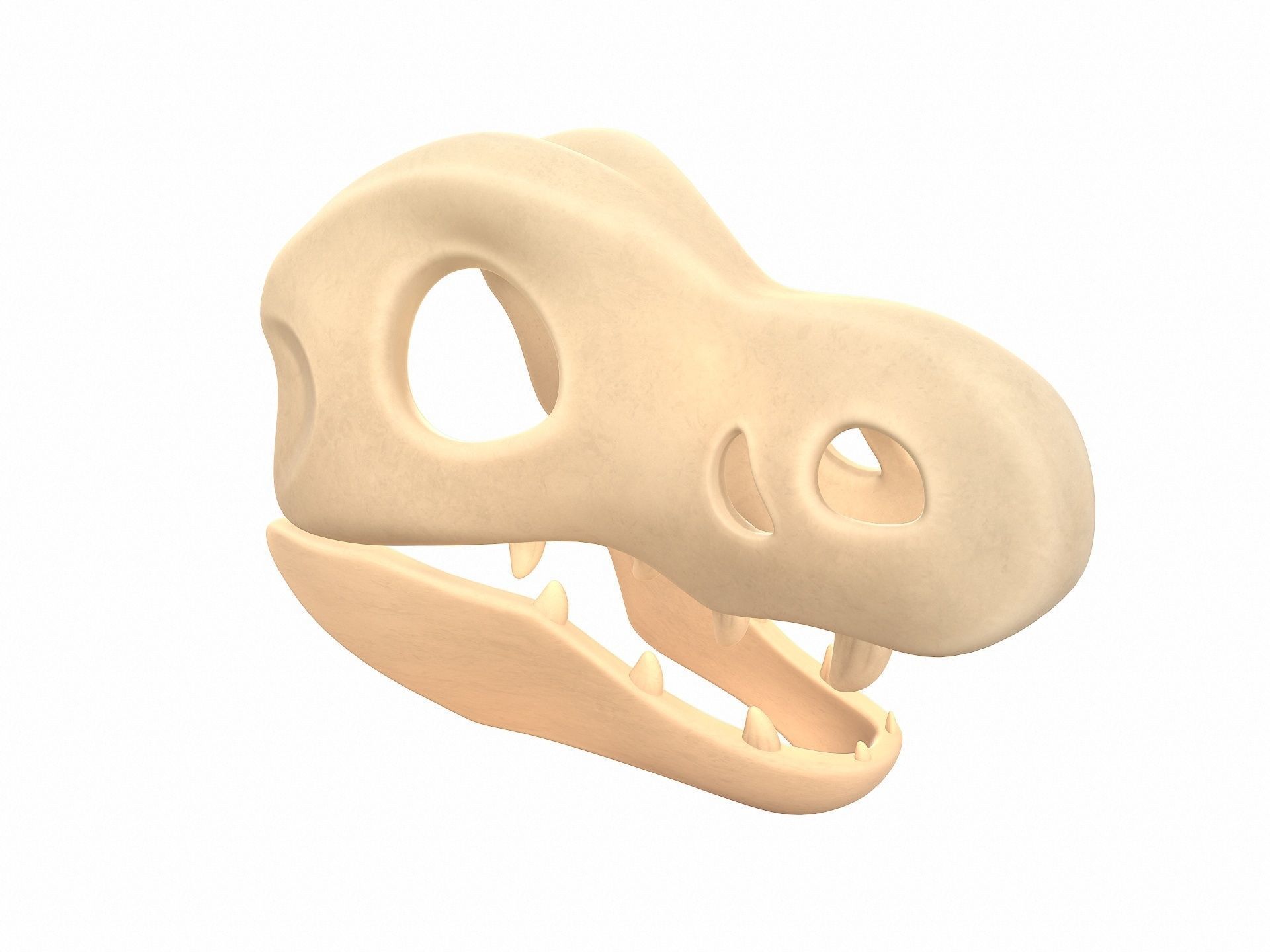 Dinosaur Skull 3D model_8