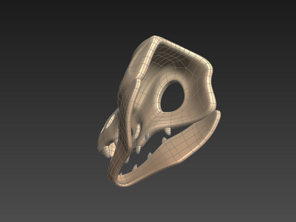 Dinosaur Skull 3D model_22