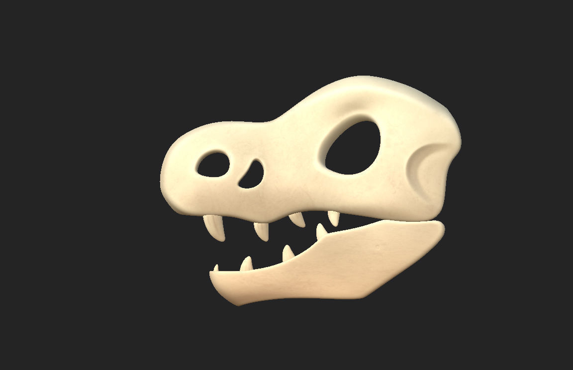 Dinosaur Skull 3D model_15