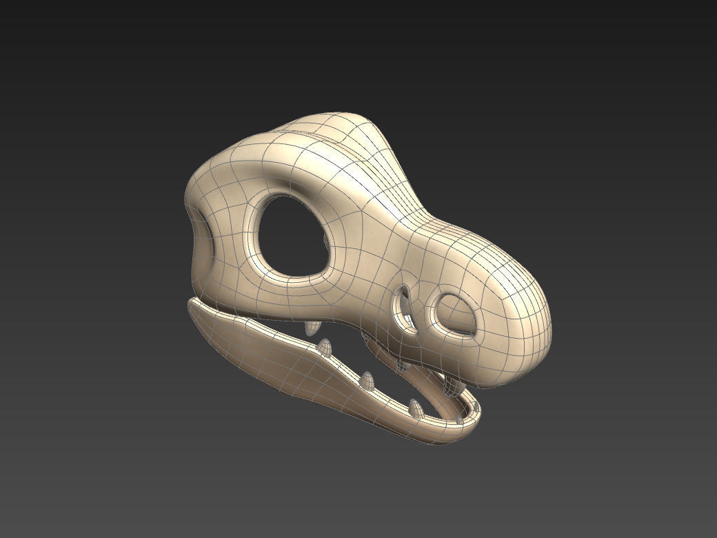 Dinosaur Skull 3D model_21