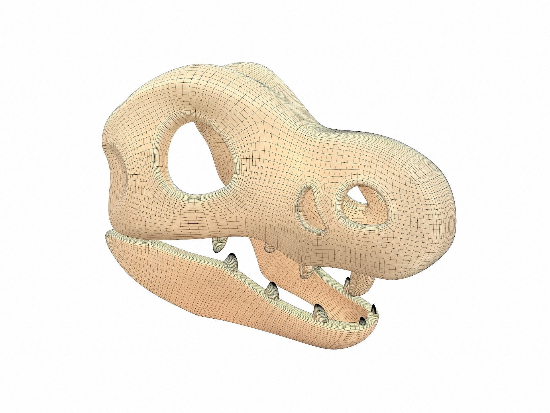 Dinosaur Skull 3D model_10