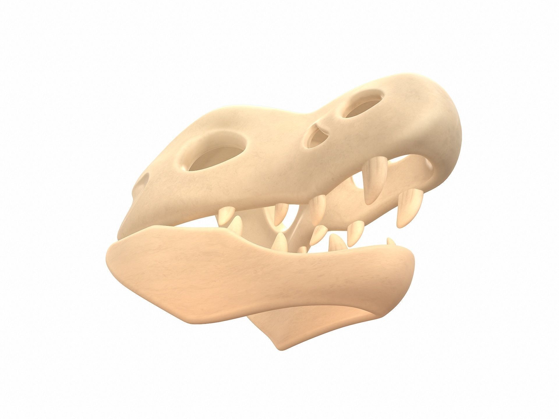 Dinosaur Skull 3D model_3