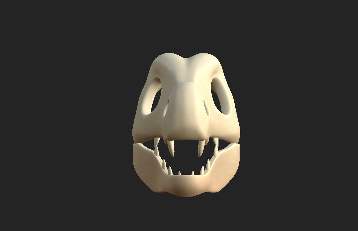 Dinosaur Skull 3D model_16
