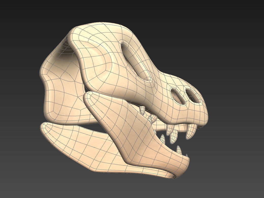 Dinosaur Skull 3D model_23