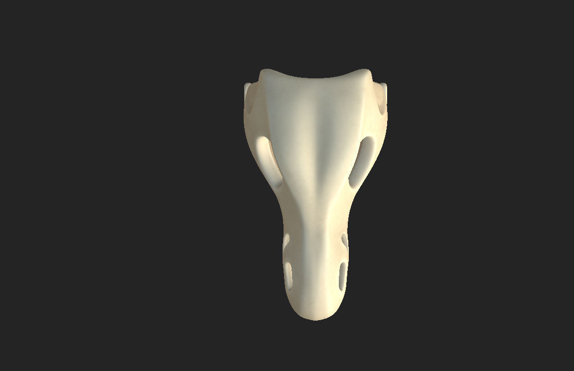 Dinosaur Skull 3D model_17