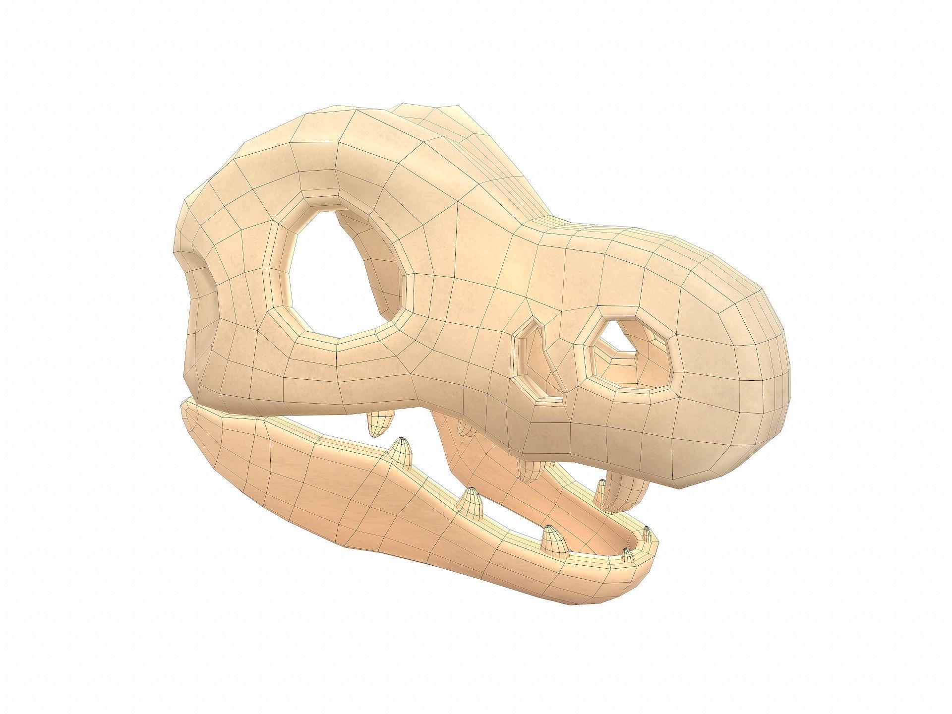 Dinosaur Skull 3D model_9