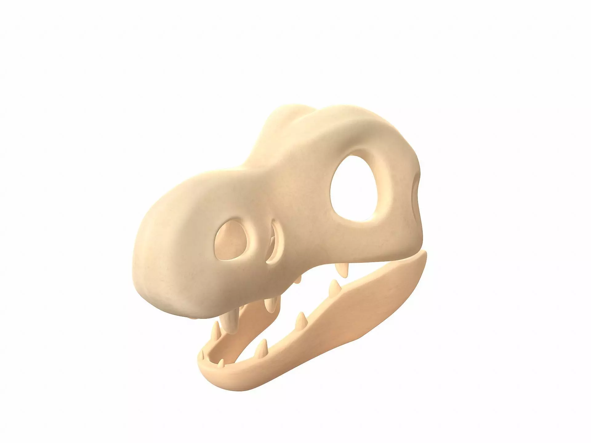 Dinosaur Skull 3D model_0