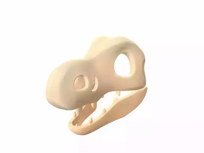 Dinosaur Skull