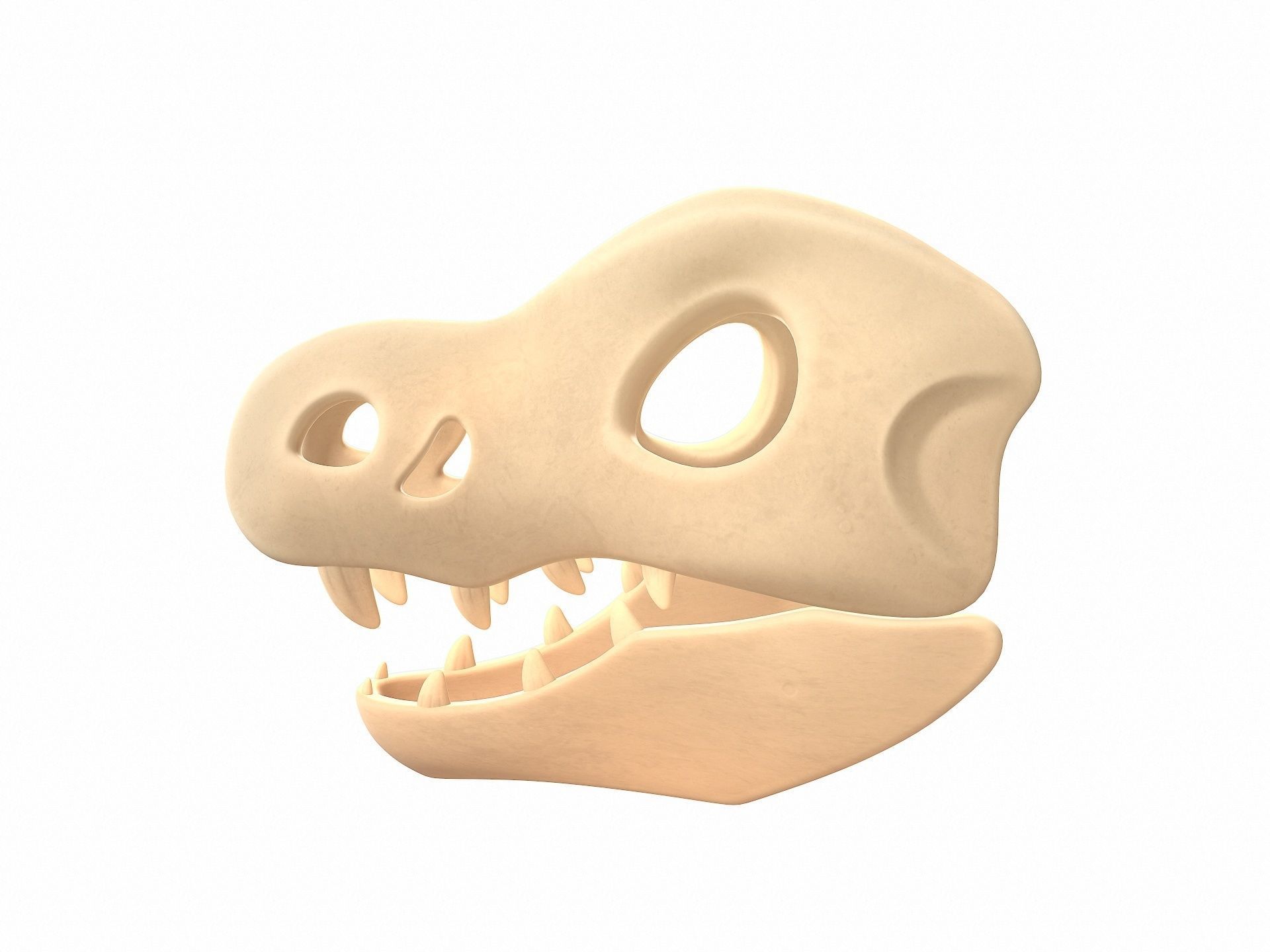 Dinosaur Skull 3D model_1