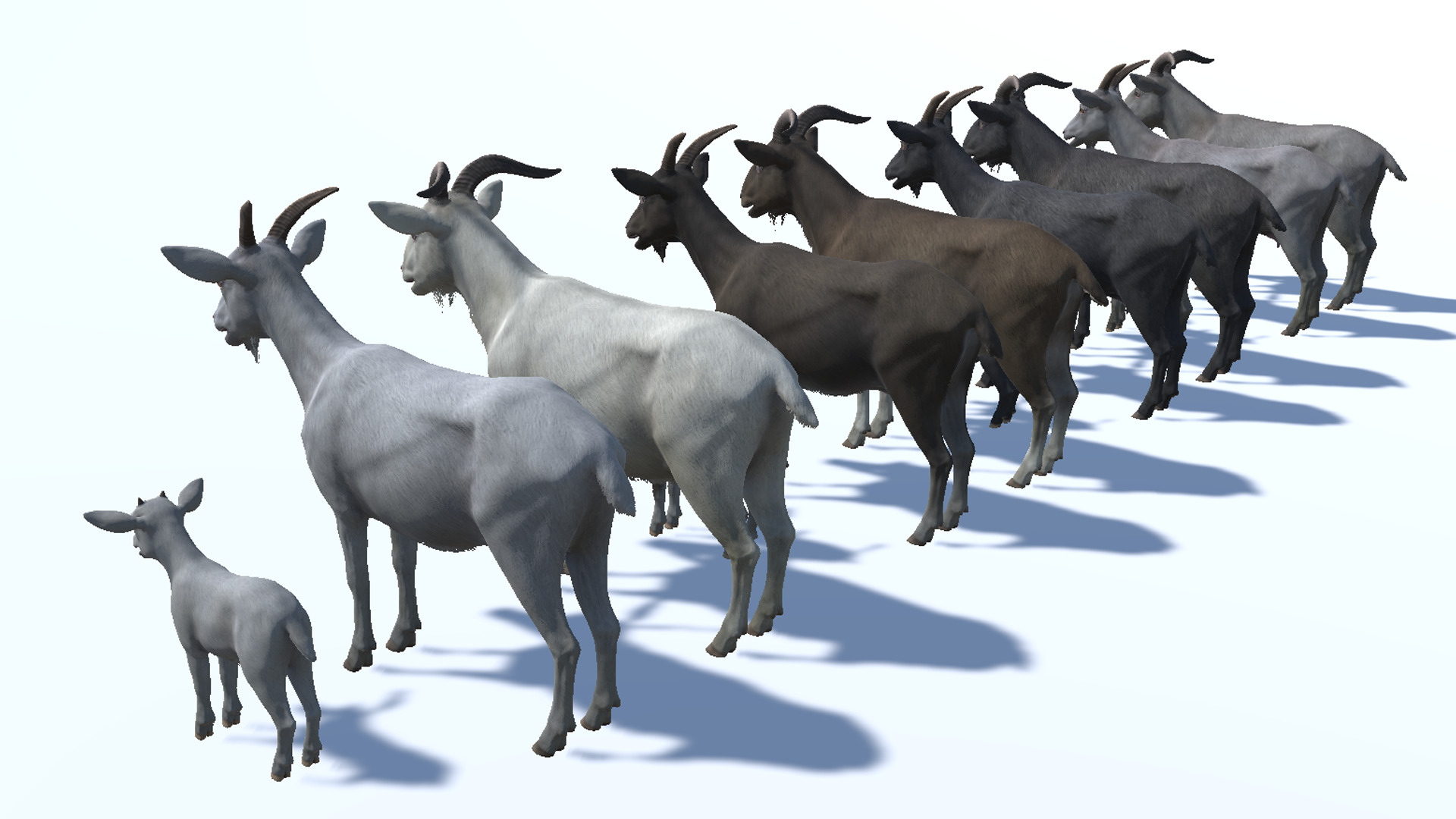Goat family Low-poly 3D model_11