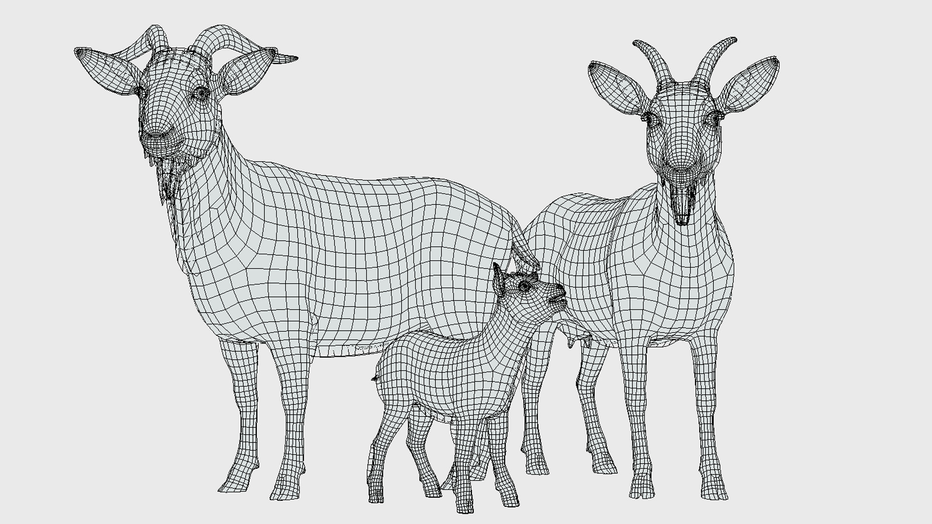 Goat family Low-poly 3D model_12