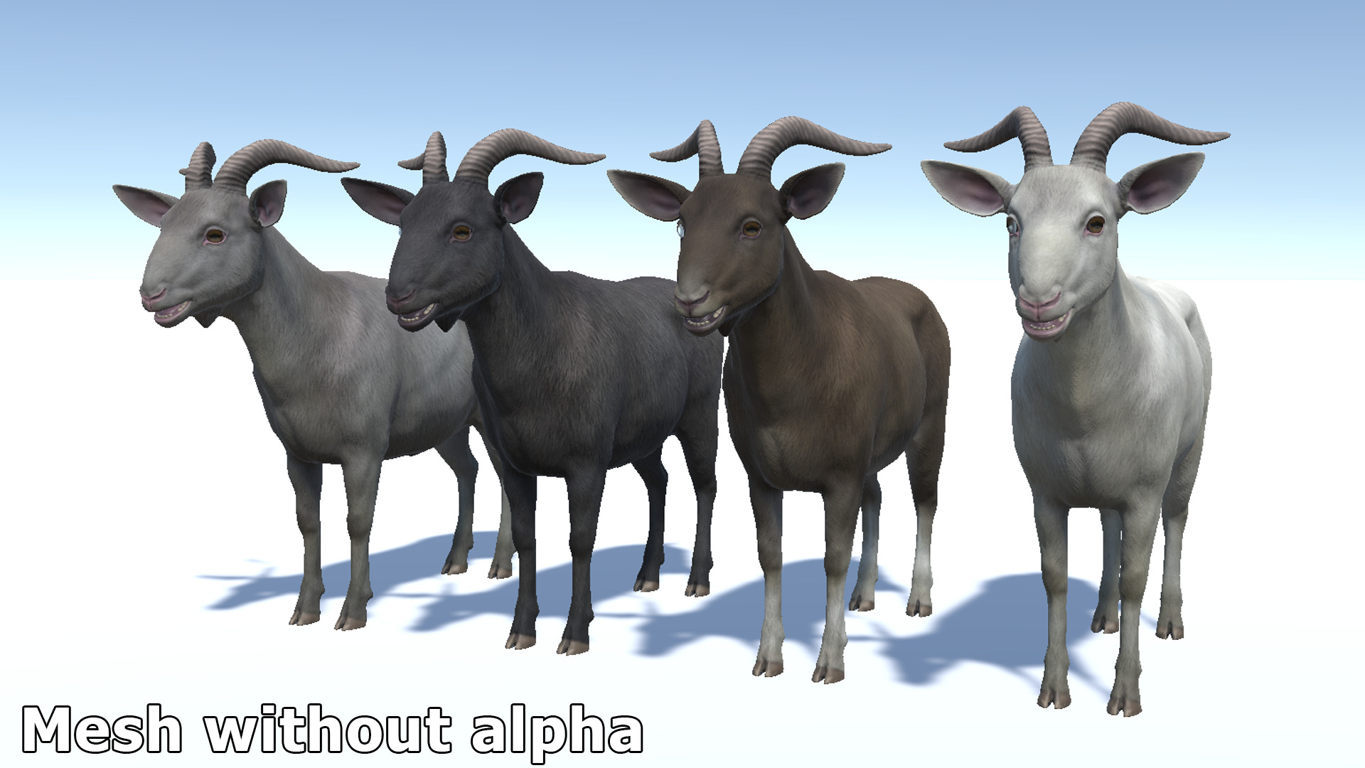 Goat family Low-poly 3D model_15