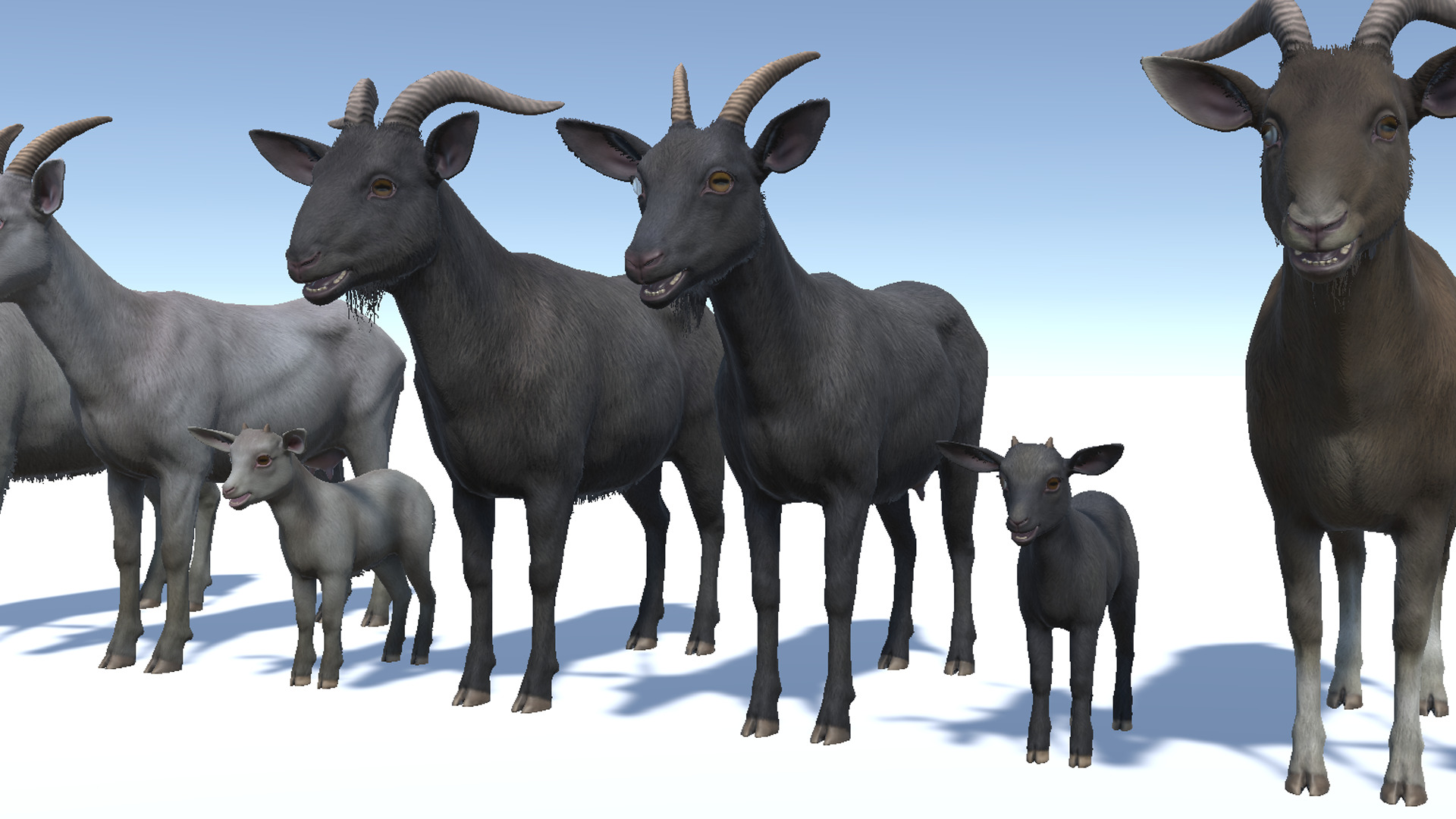 Goat family Low-poly 3D model_7