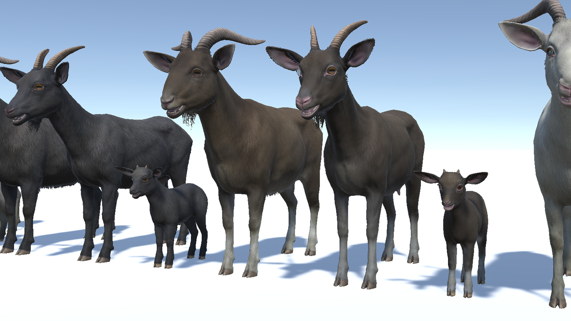 Goat family Low-poly 3D model_6