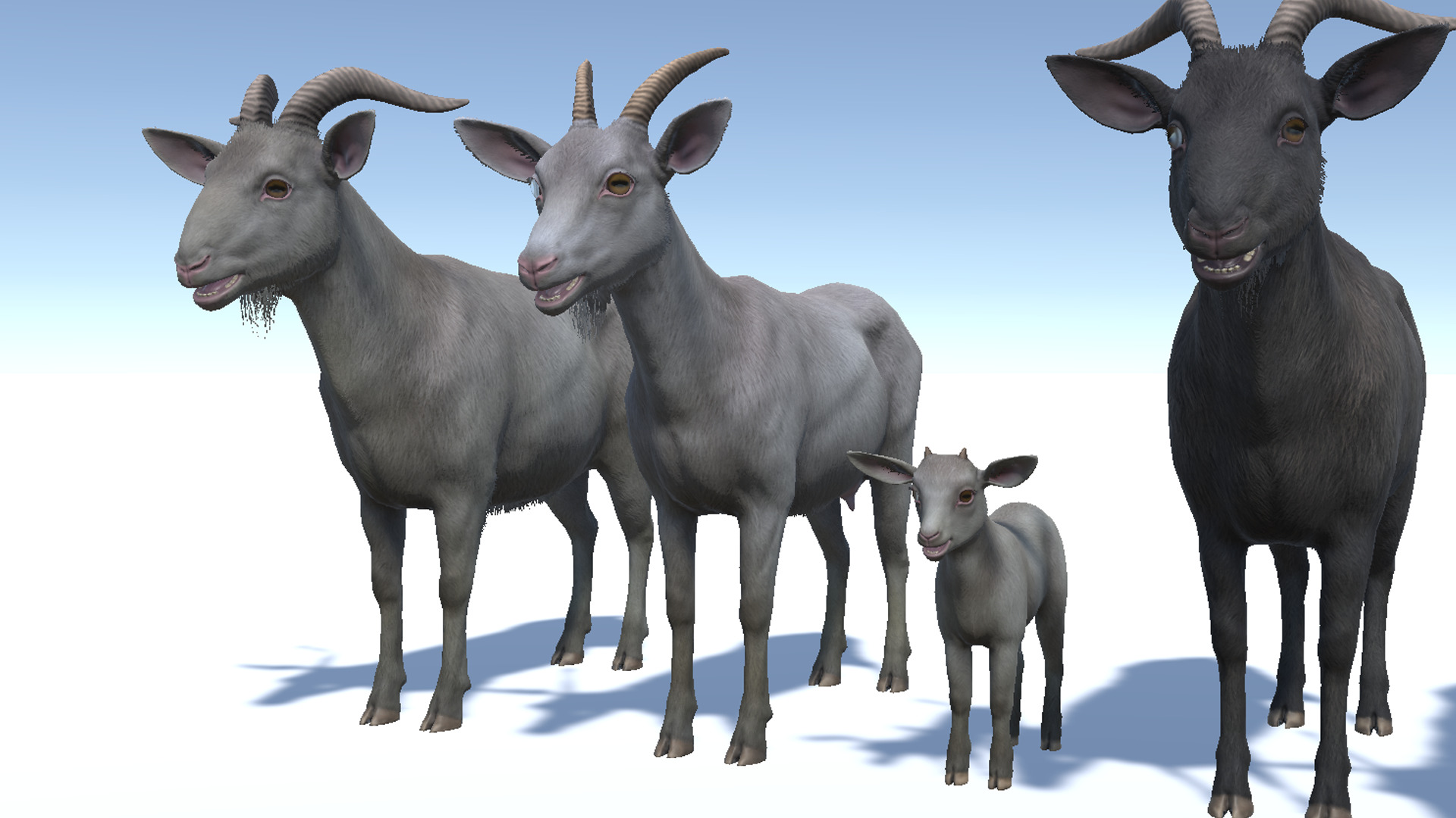 Goat family Low-poly 3D model_8