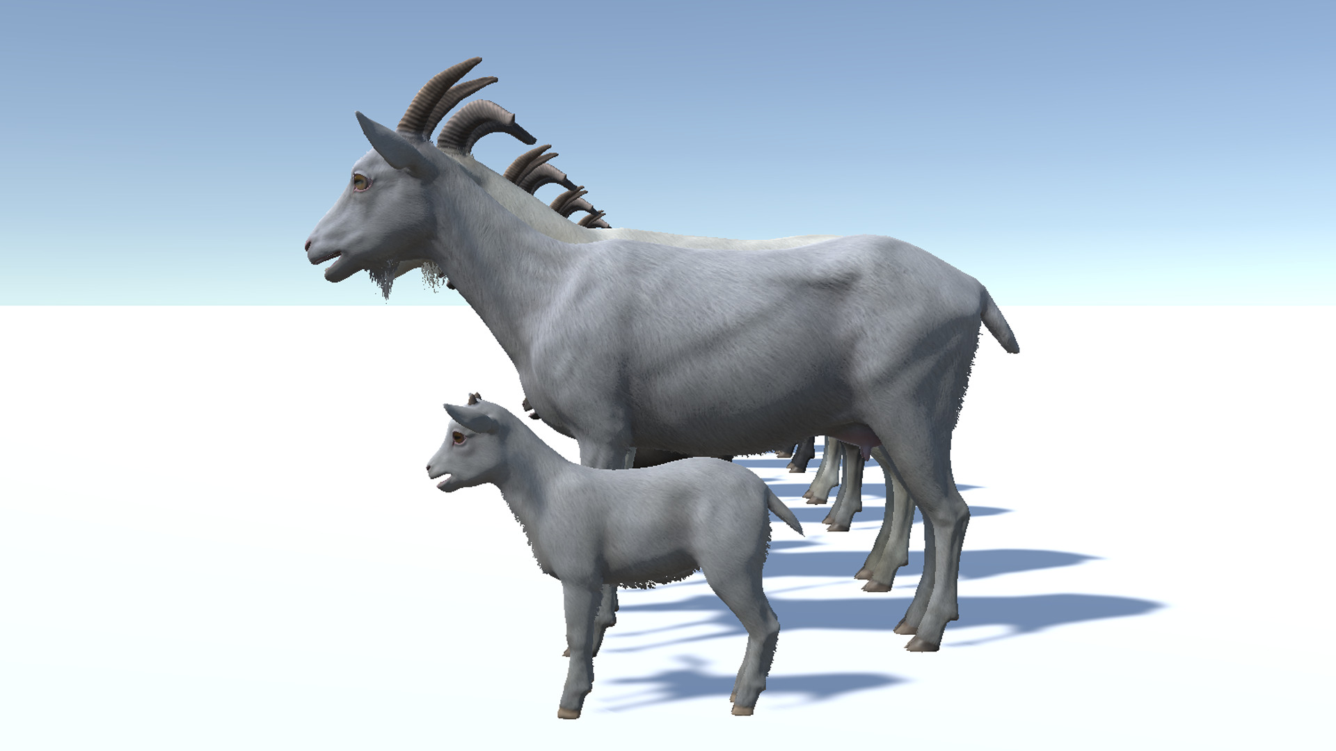 Goat family Low-poly 3D model_10