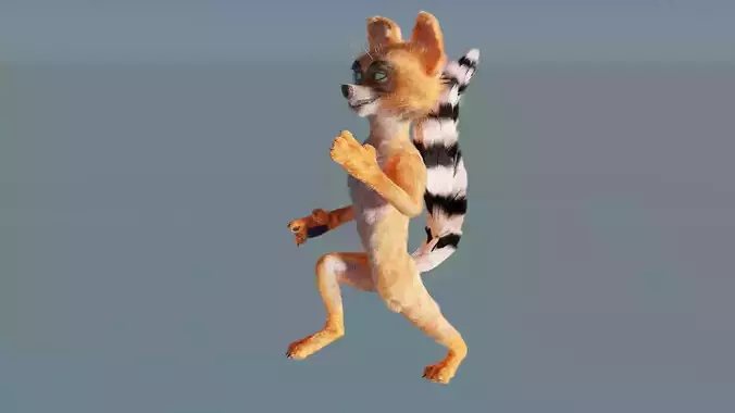 Raccoon - Rigged version - Cartoon style - low poly 3D model Low-poly 3D model