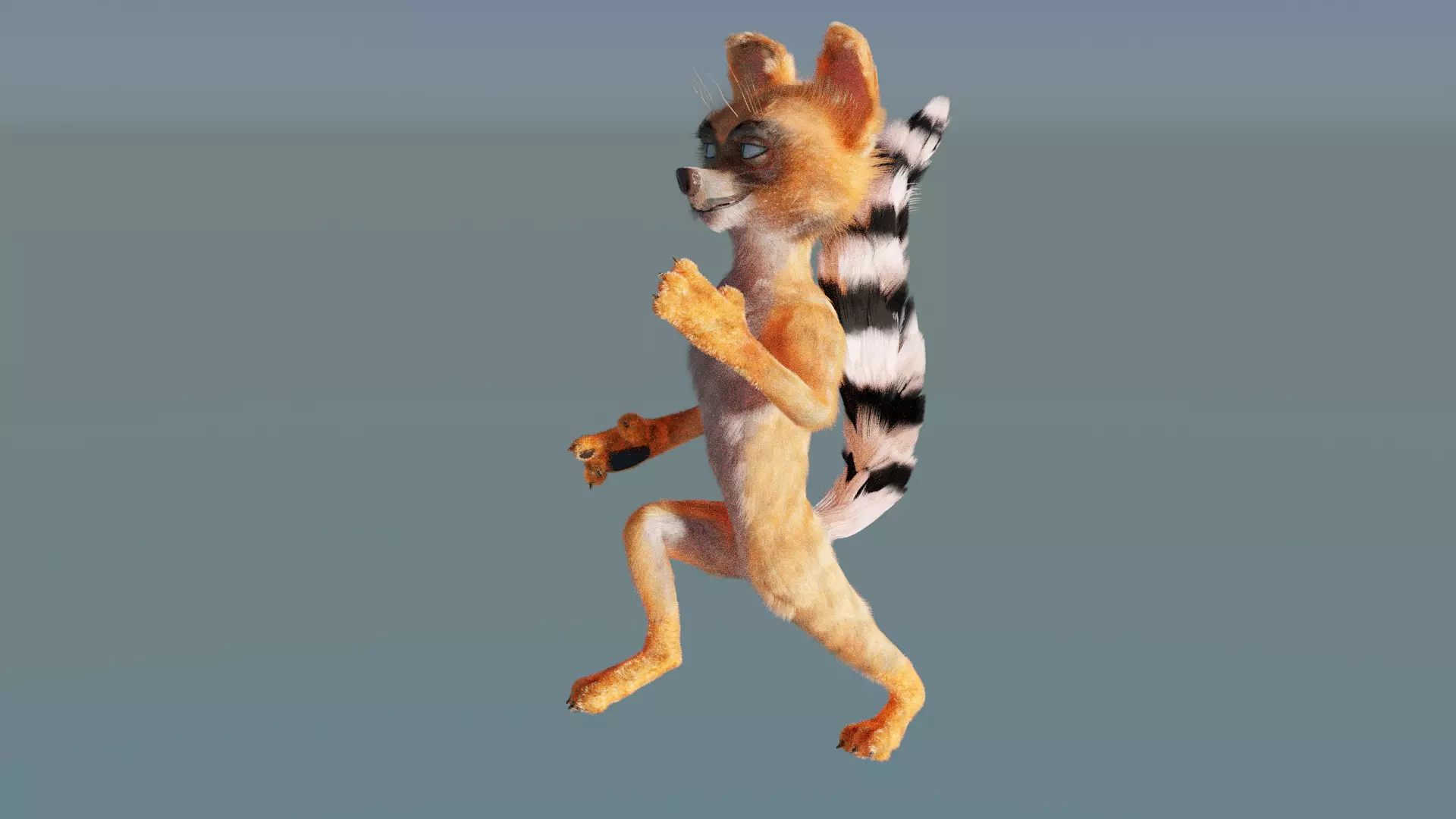 Raccoon - Rigged version - Cartoon style - low poly 3D model Low-poly 3D model_0