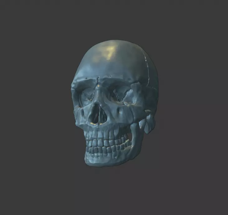 Skull human 3D print model_0