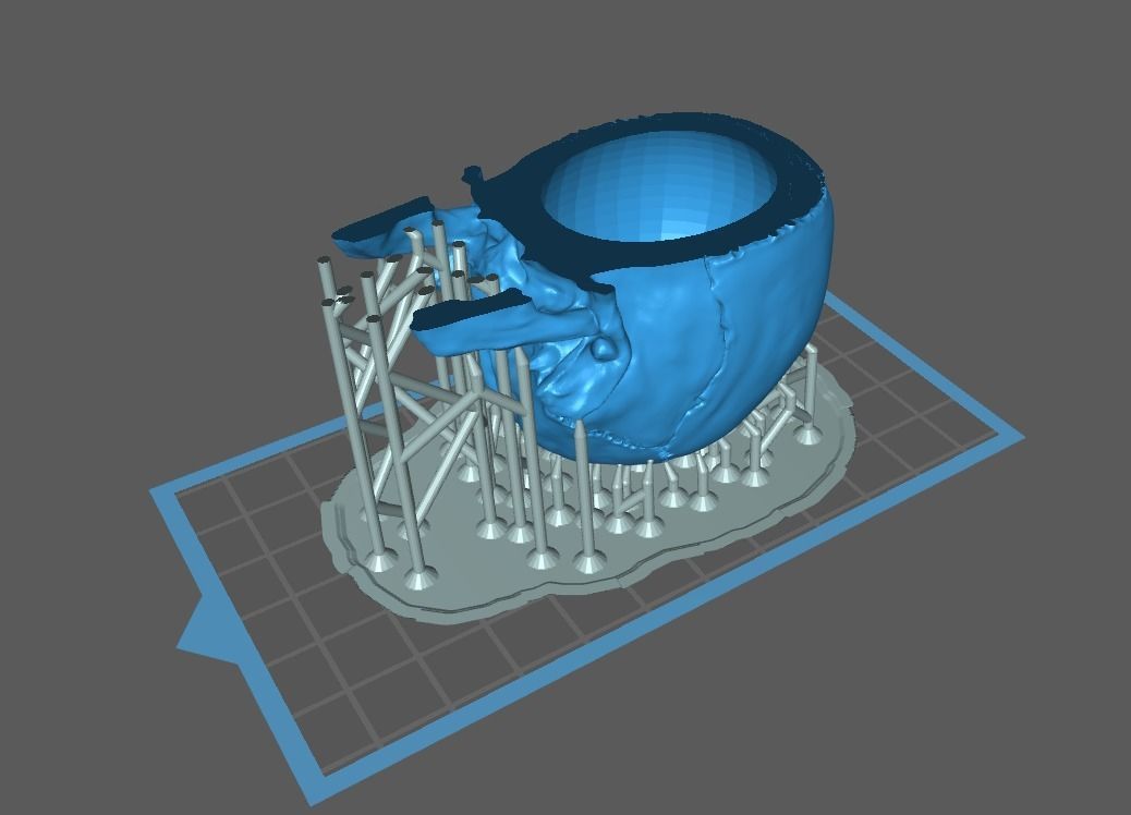 Skull human 3D print model_13