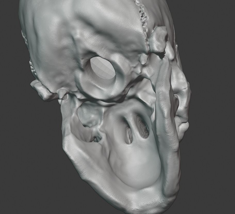 Skull human 3D print model_9